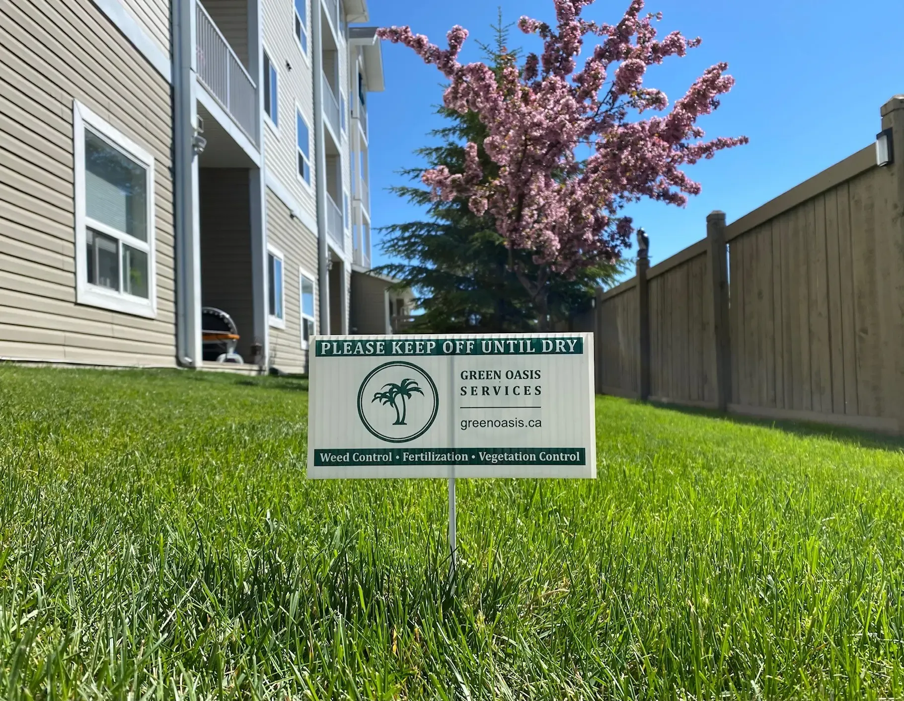Green Oasis treatment sign on apartment lawn with cherry blossom
