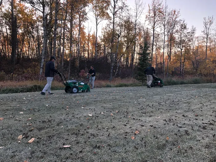 Beautifully manicured front yard with topiary