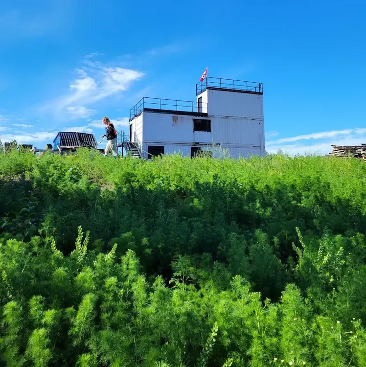 Vegetation control at industrial site