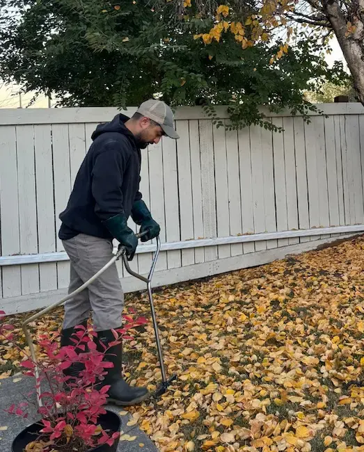 Tree and shrub fertilization service