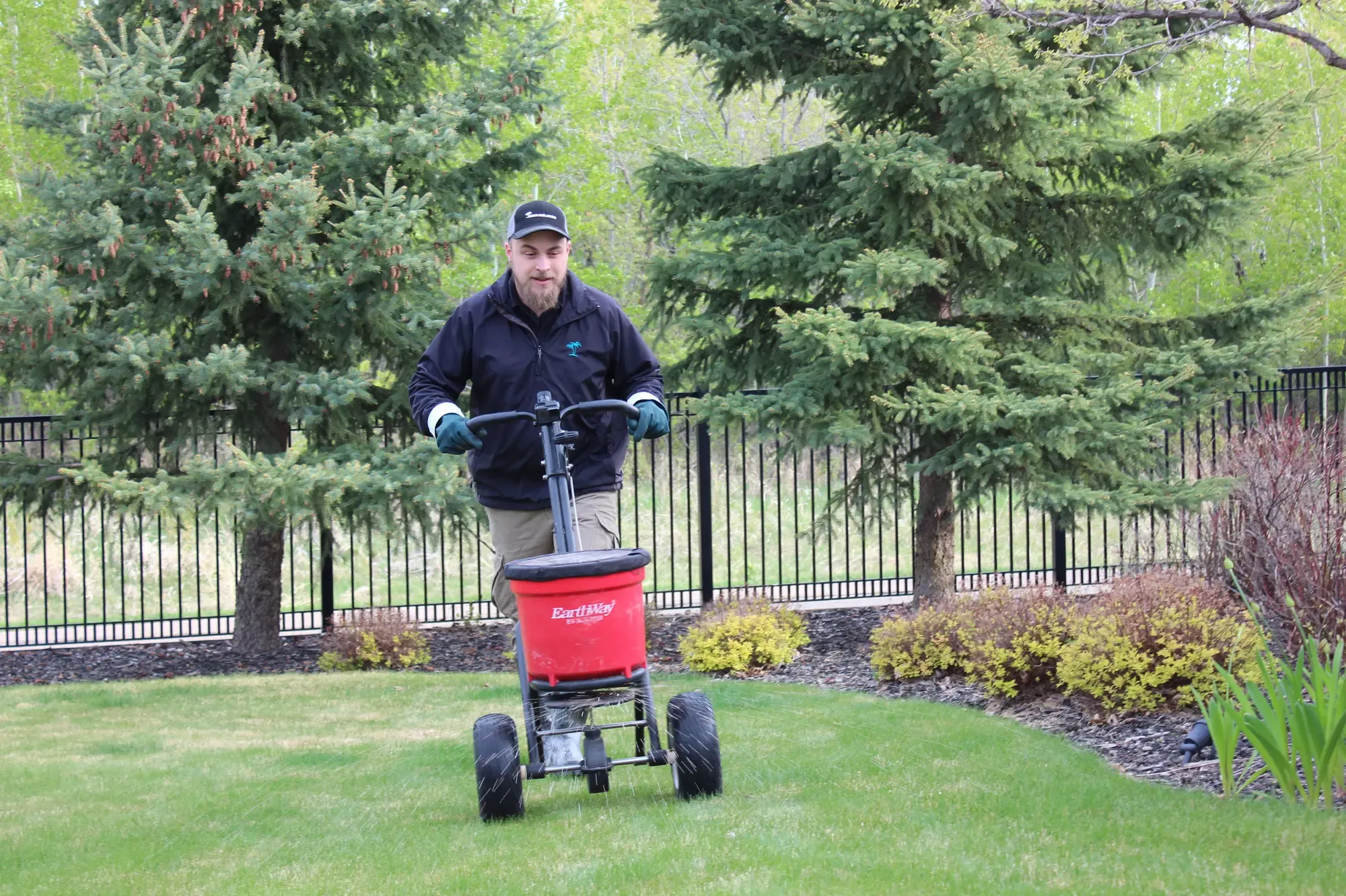 Green Oasis technician applying granular fertilizer to a lawn