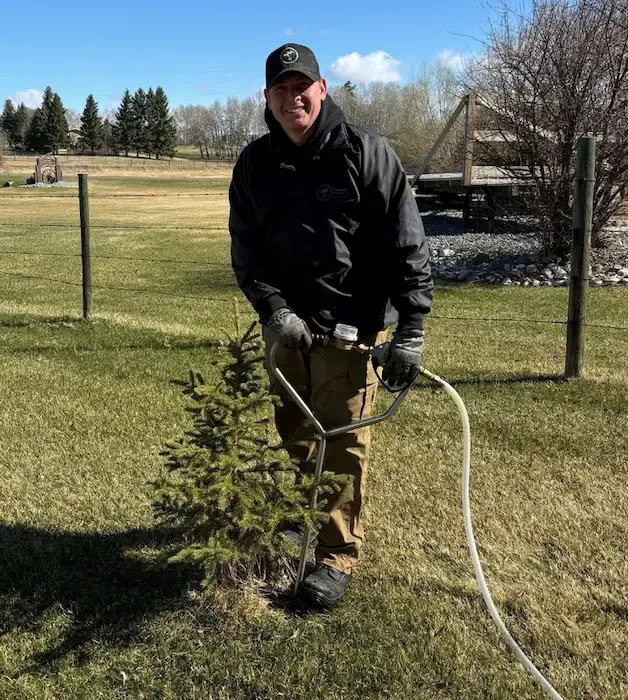 Technician performing root zone injection on a tree